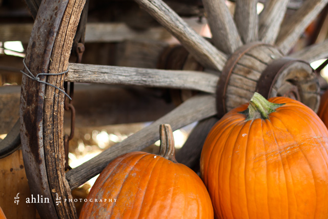 UtahFall2011_4